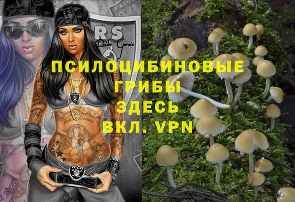 амф Алексеевка