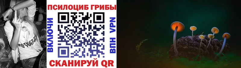 мега ТОР купить Игра Псилоцибиновые грибы Psilocybe